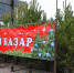 В ТИХОРЕЦКЕ НАЧАЛИ РАБОТУ ЕЛОЧНЫЕ БАЗАРЫ - Администрация г.п. Тихорецк
