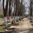 В посёлке Парковом благоустроят парк - Тихорецкие вести