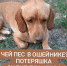 «Горько плачет во дворе» - Тихорецкие вести