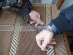 В Тихорецком районе полицейские задержали оптового наркозакладчика