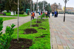 В ТИХОРЕЦКЕ СОСТОЯЛСЯ ЗАКЛЮЧИТЕЛЬНЫЙ СУББОТНИК